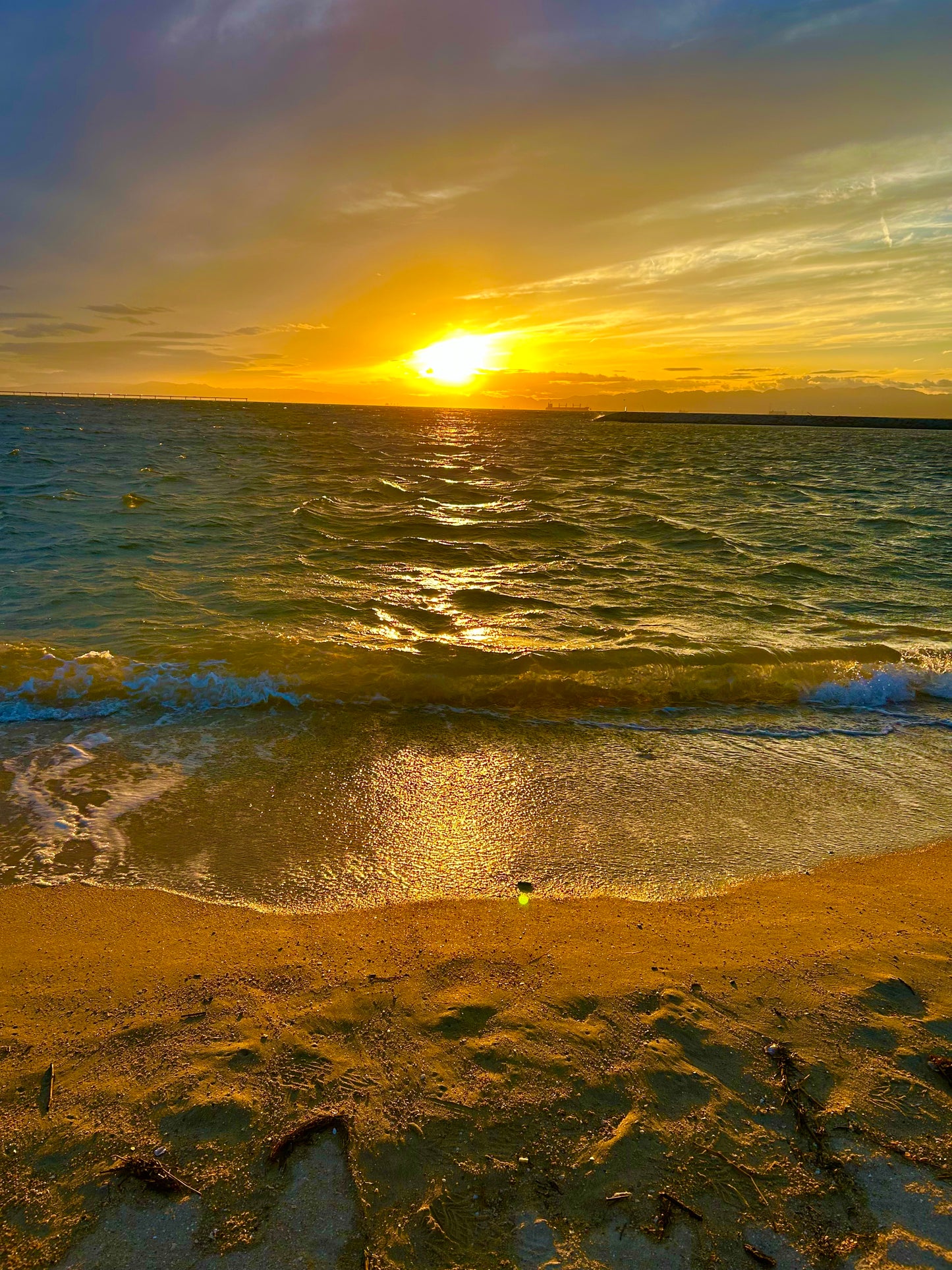 常設サウナ 「SHELL」 貸切プラン