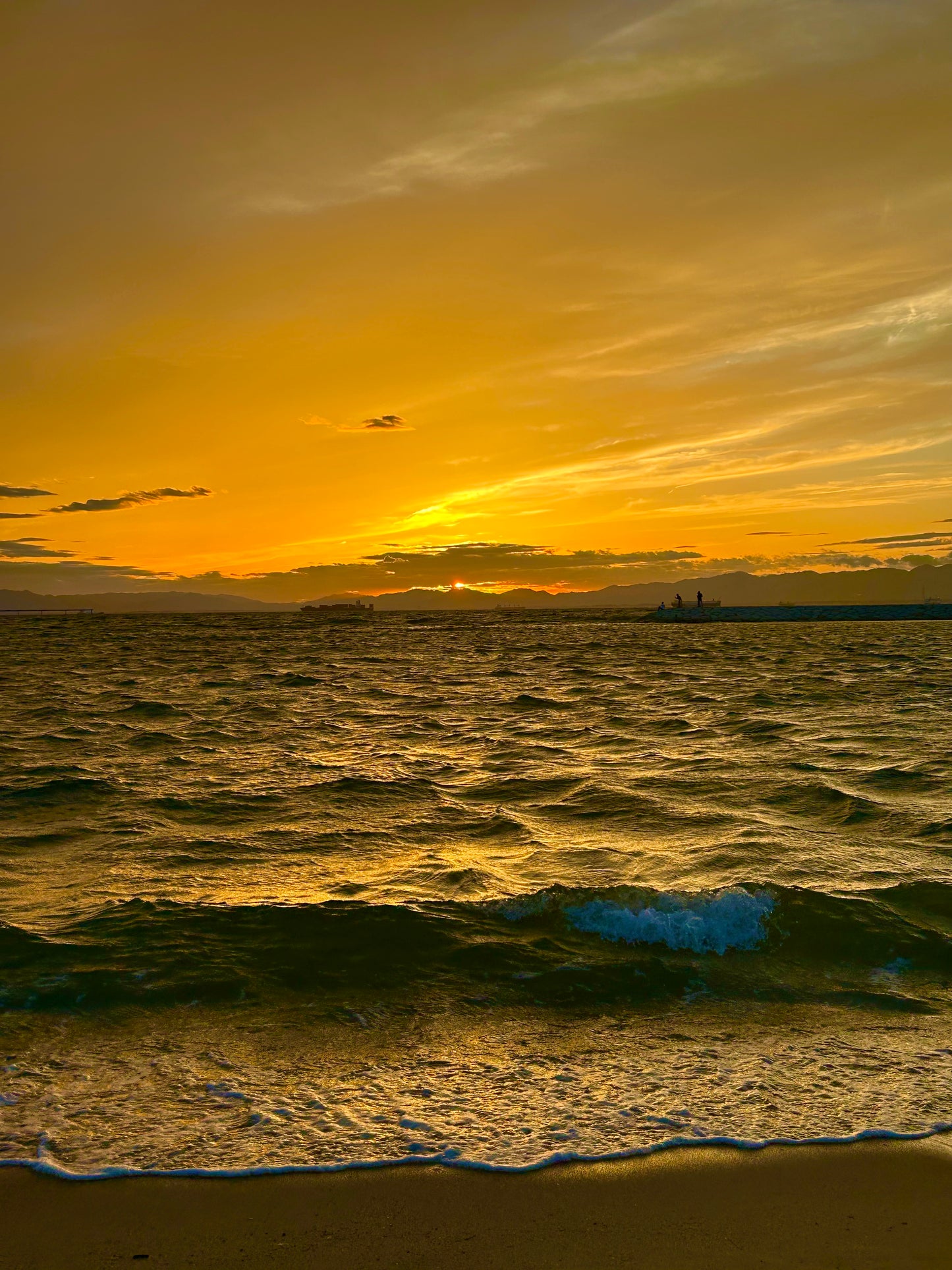 常設サウナ　「SHELL」　貸切プラン